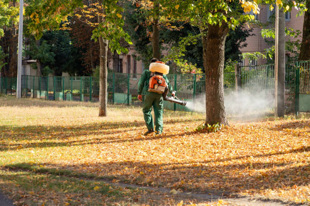 Best Pest Control Near Me  in Eastwood, MI