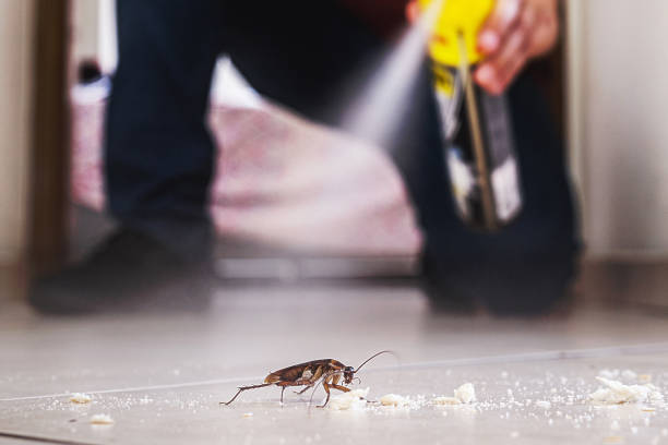 Best Pest Prevention Services  in Eastwood, MI