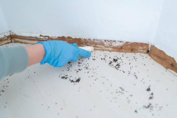 Pest Control for Restaurants in Eastwood, MI