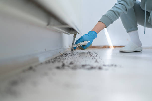 Best Pest Inspection Near Me  in Eastwood, MI
